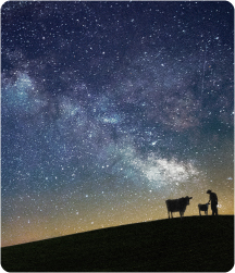 働くスタッフの写真