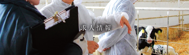 求人情報のページトップ画像