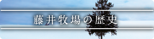 藤井牧場の歴史について